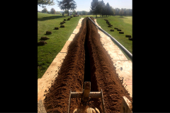 WinterberryIrrigation-5